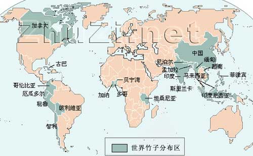 世界竹類資源及分布