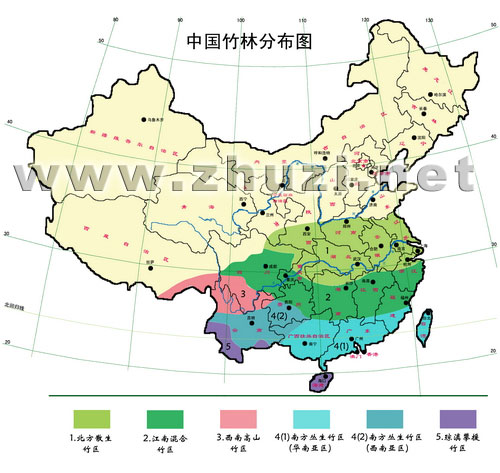 中國竹類資源及分布